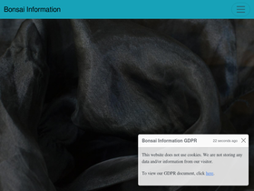 bonsaiinformation.com