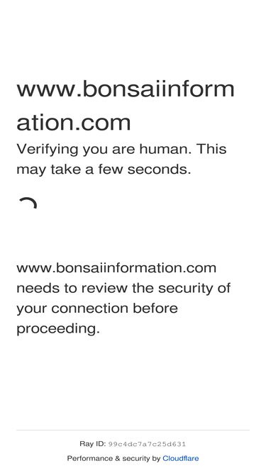 bonsaiinformation.com