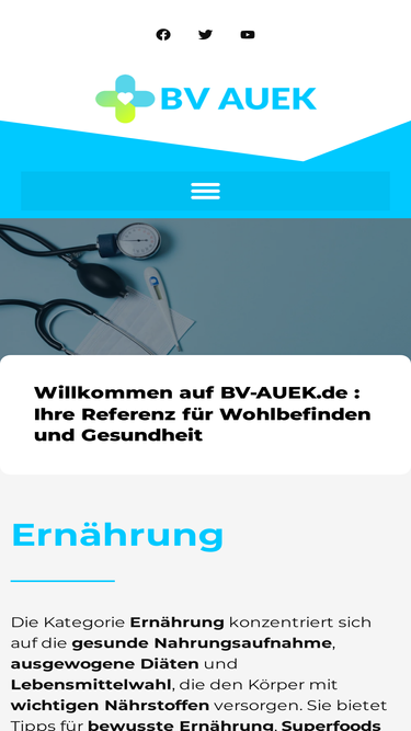 bv-auek.de
