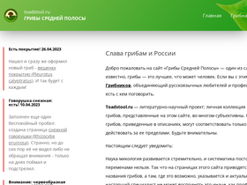 'toadstool.ru' screenshot
