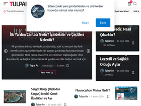 tulparav.com