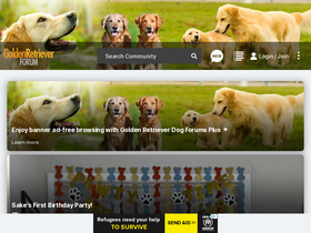 'goldenretrieverforum.com' screenshot