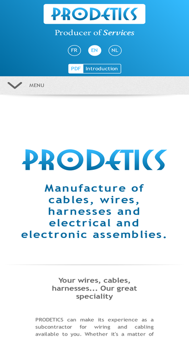 prodetics.com