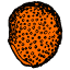 cactus-hobby.eu