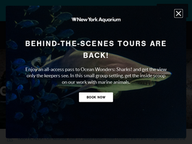 'nyaquarium.com' screenshot