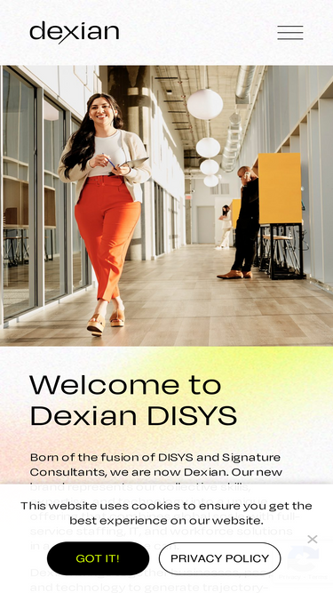 disys.com