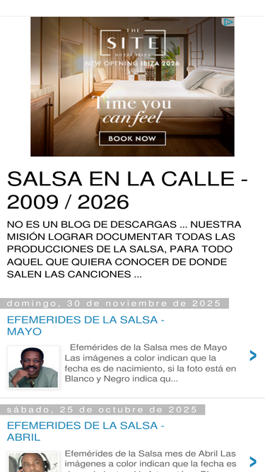 salsaenlacalleweb.blogspot.com