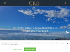 'theceomagazine.com' screenshot