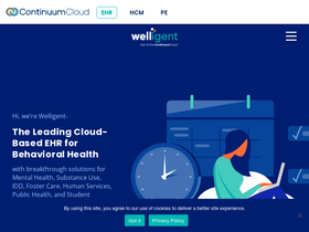 'welligent.com' screenshot