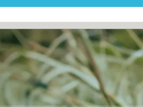 airbreazy.com website screenshot