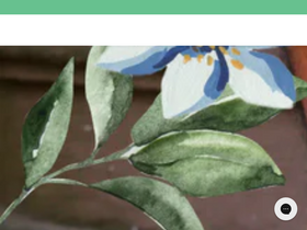 'adelanteshoes.com' screenshot