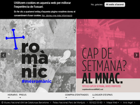 'museunacional.cat' screenshot
