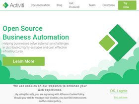 'activiti.org' screenshot
