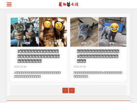 '88lovelypet.com' screenshot