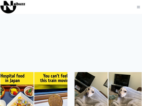 'naibuzz.com' screenshot