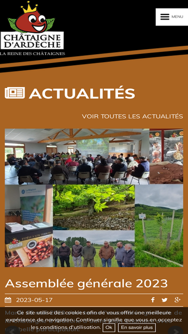 chataigne-ardeche.com