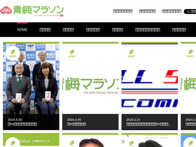'ohme-marathon.jp' screenshot
