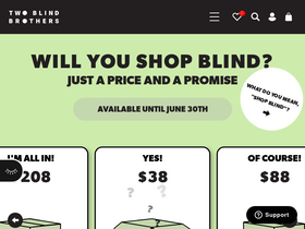 'twoblindbrothers.com' screenshot