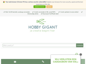 'hobbygigant.nl' screenshot