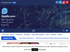 'ceplik.com' screenshot