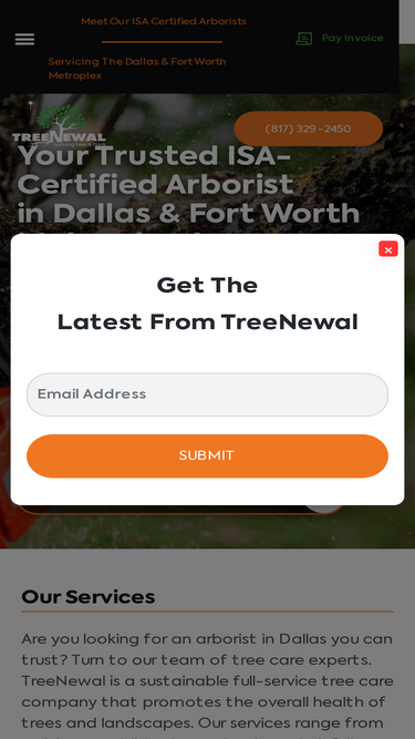 treenewal.com