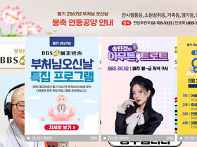 'bbsi.co.kr' screenshot