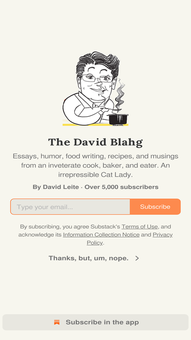 davidleite.substack.com
