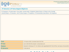 'ipsorgu.com' screenshot