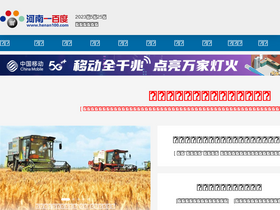 'henan100.com' screenshot