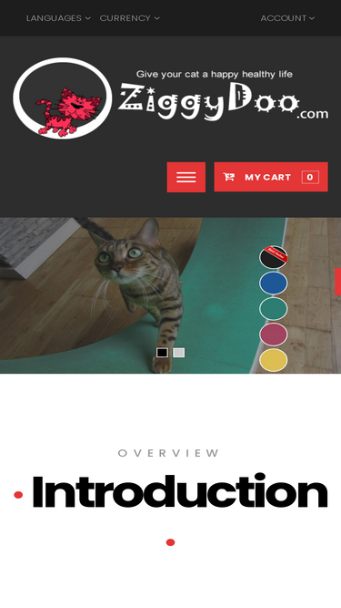 ziggydoo.com