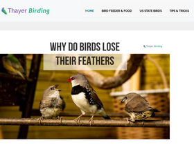 'thayerbirding.com' screenshot