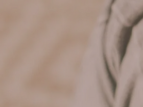 'puppyfind.com' screenshot