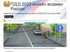 'pddrussia.com' screenshot