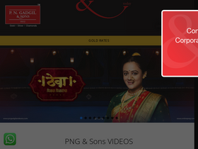 'pngadgilandsons.com' screenshot