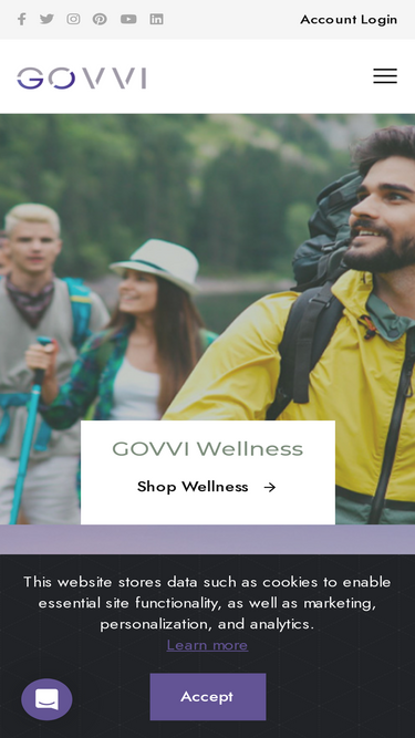 govvi.com