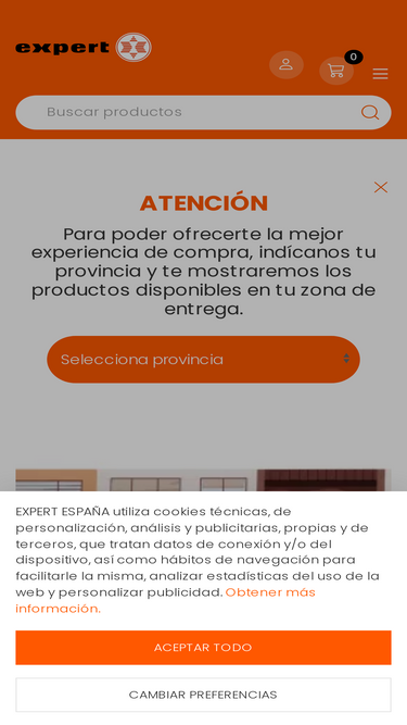 expert.es