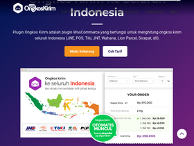 'pluginongkoskirim.com' screenshot