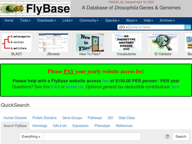 'flybase.org' screenshot