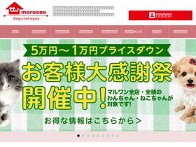'maruone.com' screenshot