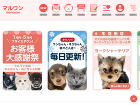 'maruone.com' screenshot