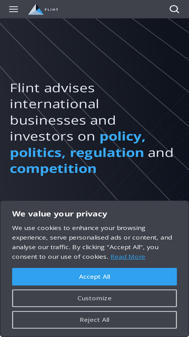 flint-global.com