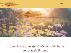 mollylarkin.com