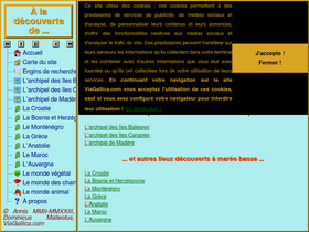 'viagallica.com' screenshot