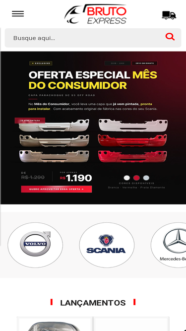 brutoexpress.com.br