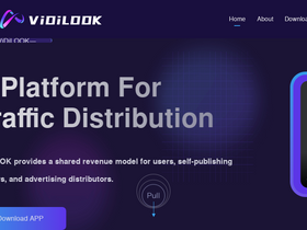'vidilook.io' screenshot