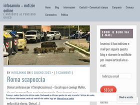 'infosannio.com' screenshot