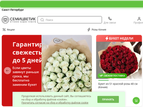 'feogorod.ru' screenshot