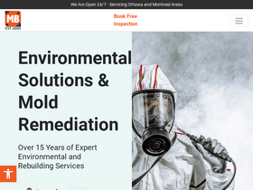 'bustmold.com' screenshot