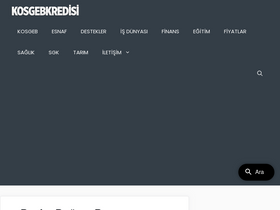 'kosgebkredisi.com' screenshot