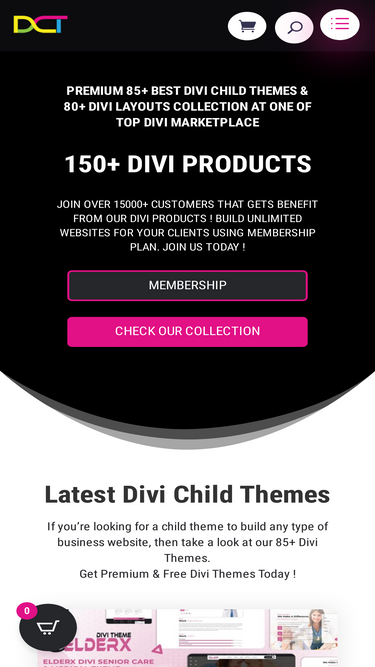 divi-childthemes.com